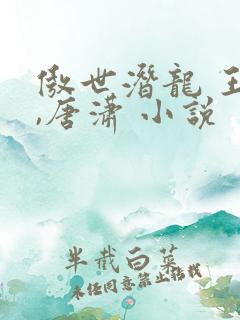 傲世潜龙 王东,唐潇 小说