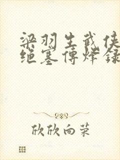 梁羽生武侠小说绝塞传烽录