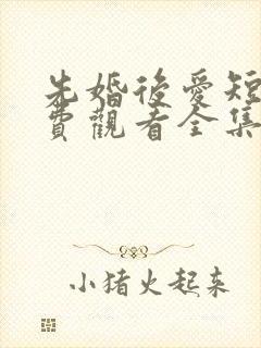 先婚后爱短剧免费观看全集高清