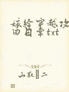 嫁给穿越攻的种田日常txt