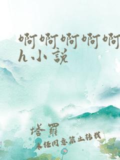 啊啊啊啊啊啊高h小说