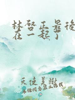 林启正最后和谁在一起了