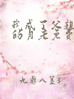 我成了父亲妻子的月老免费下载