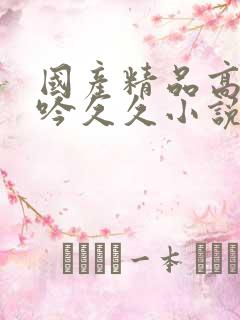 国产精品高潮呻吟久久小说