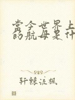 当今世界上最大的航母是什么航母