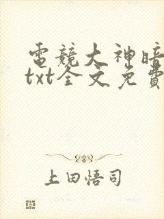 电竞大神暗恋我txt全文免费