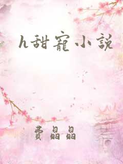 h甜宠小说