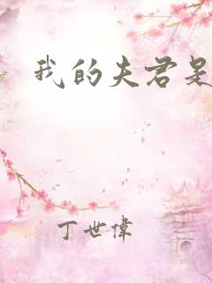 我的夫君是冥王