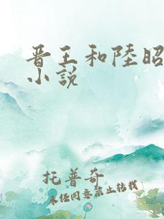 晋王和陆昭菱的小说