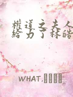 权道之夫人们太给力了林皓全文阅读