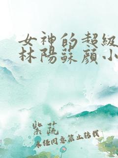 女神的超级赘婿林阳苏颜小说