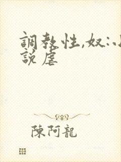 调教性,奴:小说虐