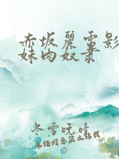 赤坂丽电影美姐妹肉奴隶