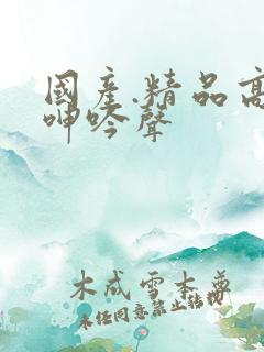 国产.精品高潮呻吟声