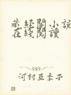 藏经阁小说大全在线阅读