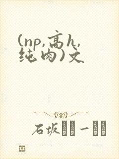 (np,高h,纯肉)文