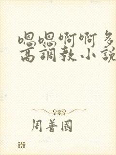 嗯嗯啊啊多人h高调教小说