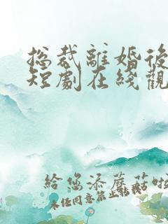 总裁离婚后悔了短剧在线观看