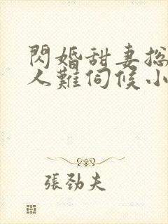 闪婚甜妻总裁大人难伺候小说