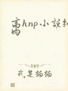 高hnp小说纯肉