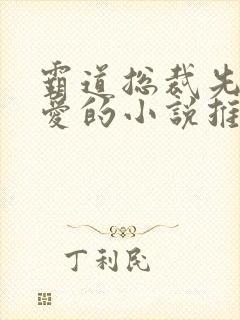 霸道总裁先婚后爱的小说推荐