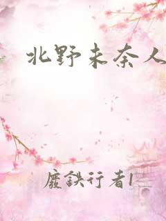 北野未奈人妻