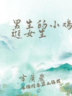 男生的小鸡鸡插进女生