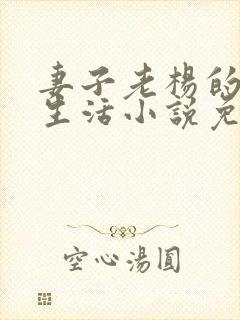 妻子老杨的幸福生活小说免费阅读