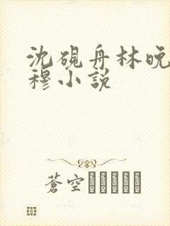 沈砚舟林晚星陈穆小说