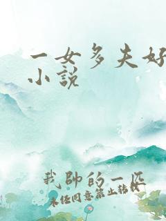 一女多夫好看的小说