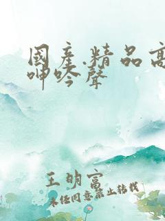 国产.精品高潮呻吟声