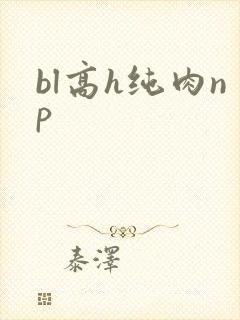 bl高h纯肉np