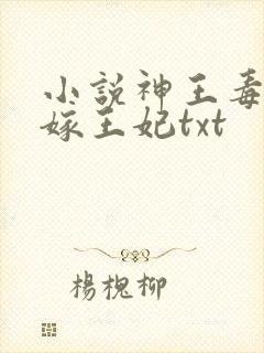 小说神王毒宠二嫁王妃txt