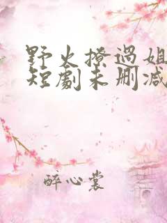 野火撩过姐姐心短剧未删减版