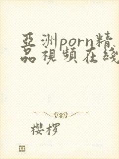 亚洲porn精品视频在线观看