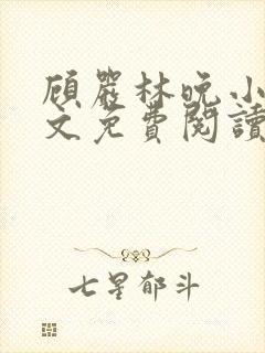 顾严林晚小说全文免费阅读