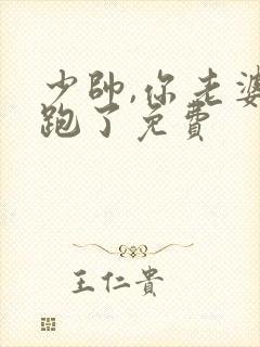 少帅,你老婆又跑了免费