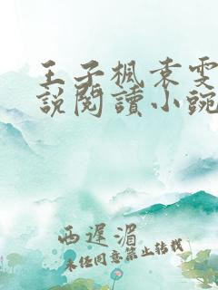 王子枫袁雯洁小说阅读小豌豆本尊