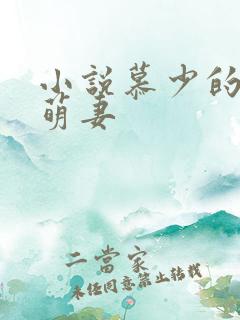 小说慕少的心尖萌妻