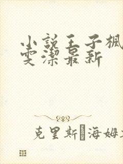 小说王子枫和袁雯洁最新