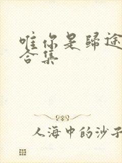 唯你是归途短剧合集