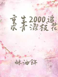 重生2000追求青涩校花同桌开始 小说完整板