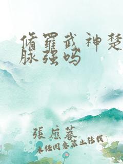 修罗武神楚枫血脉强吗