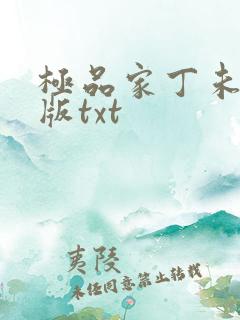 极品家丁未删减版txt