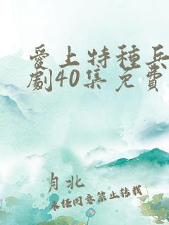 爱上特种兵电视剧40集免费观看全集