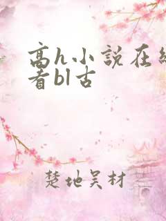 高h小说在线观看bl古