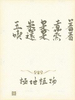 玉米是煮着吃好吃还是蒸着吃好吃 玉米是煮着吃好吃还是蒸着吃好吃