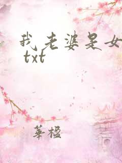 我老婆是女学霸 txt