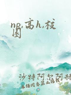 np,高h,校园 np,高h,校园