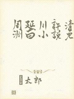 周延川许清涵沈洲白小说免费阅读